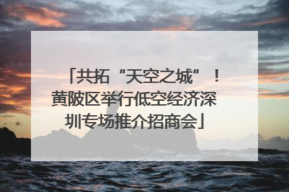 共拓“天空之城”！黄陂区举行低空经济深圳专场推介招商会